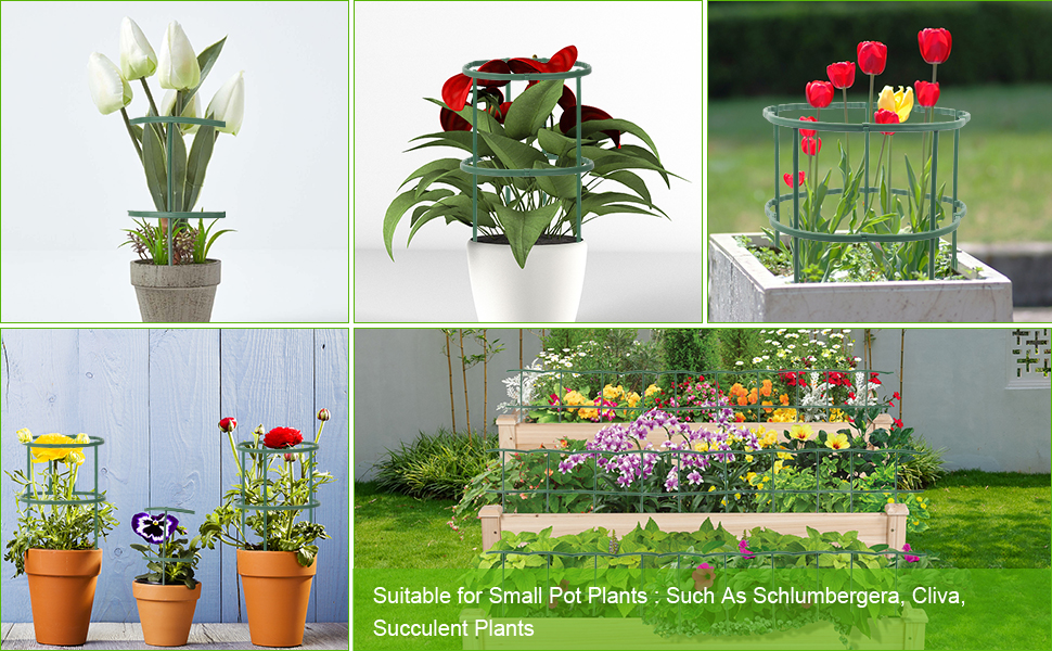 small tomato cage for raised bed plant rings cherry tomato cage flower cage pepper plant stakes