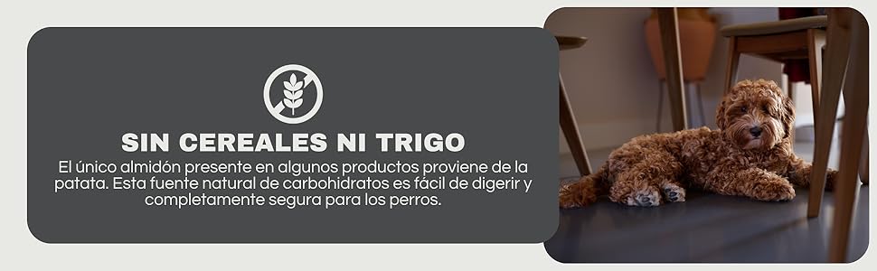 imagen de contenido adicional