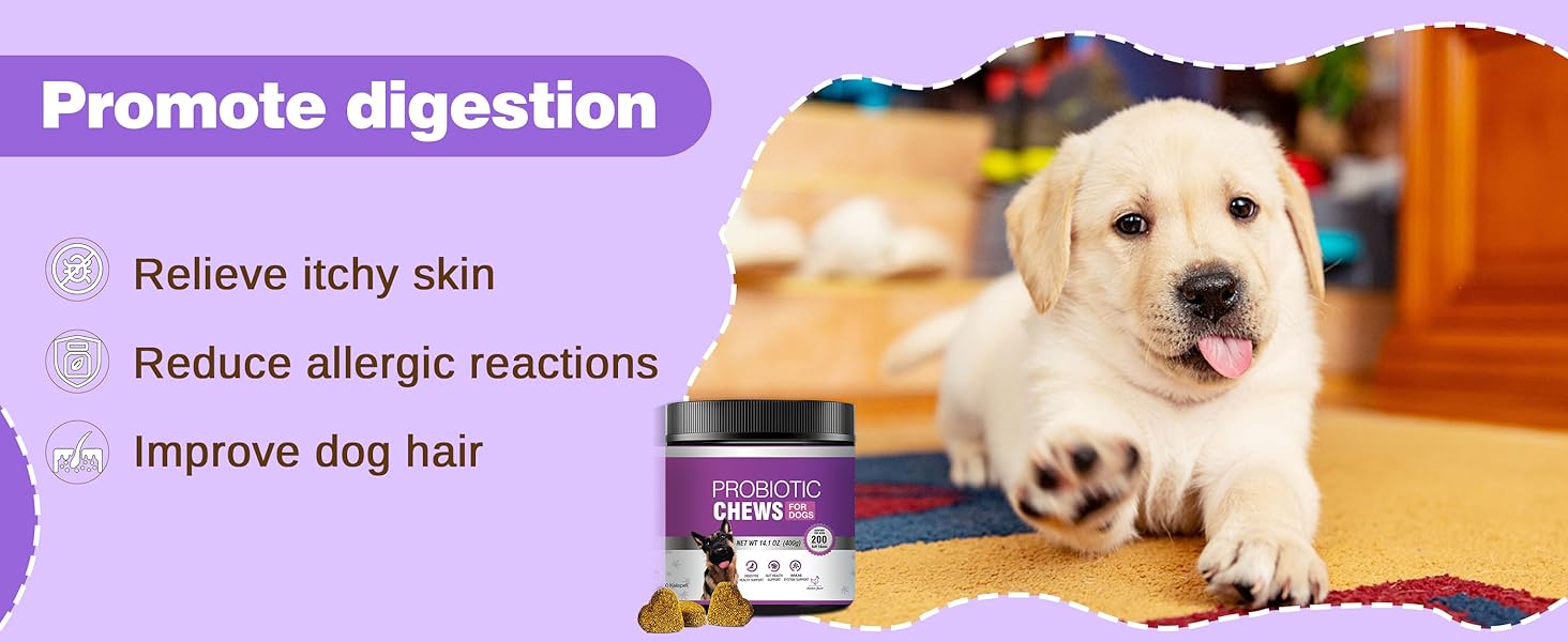 Dog Probiotic Chews