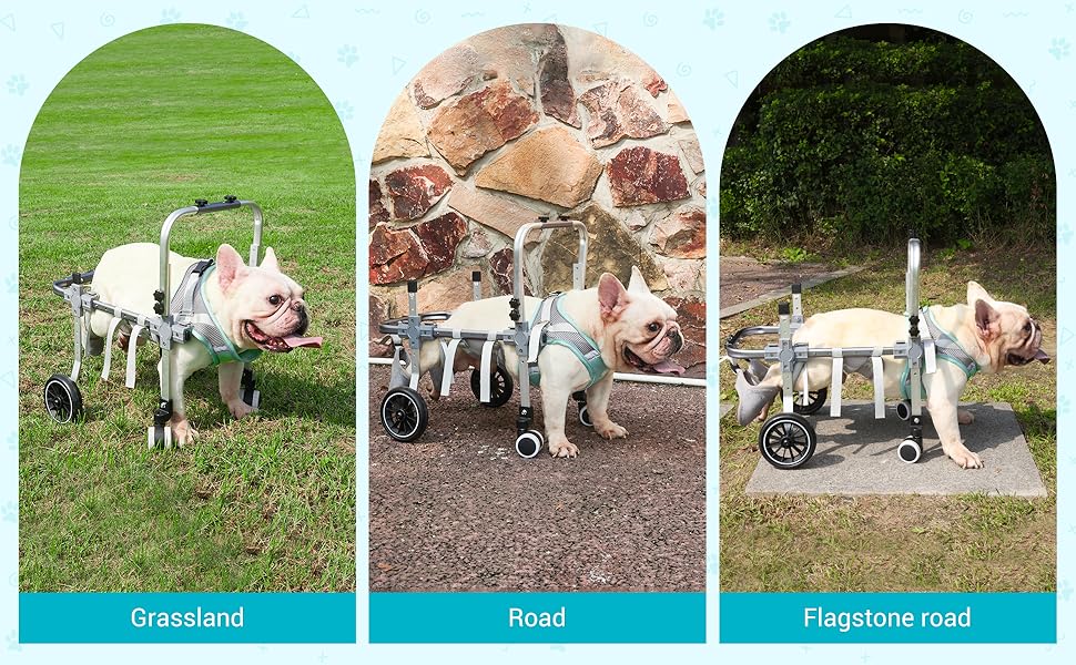 wheelchair for dogs