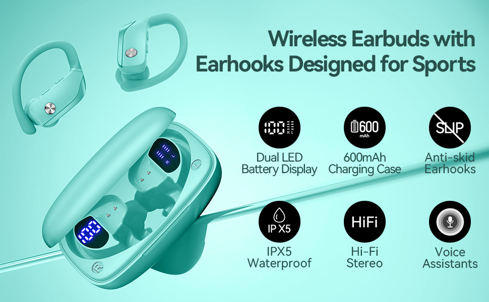 Wireless Earbuds with Earhooks Designed for Sports