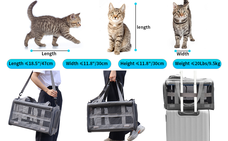 Cat Carrier Large Dog Travel Bag Airline Approved Pet Carrier Foldable