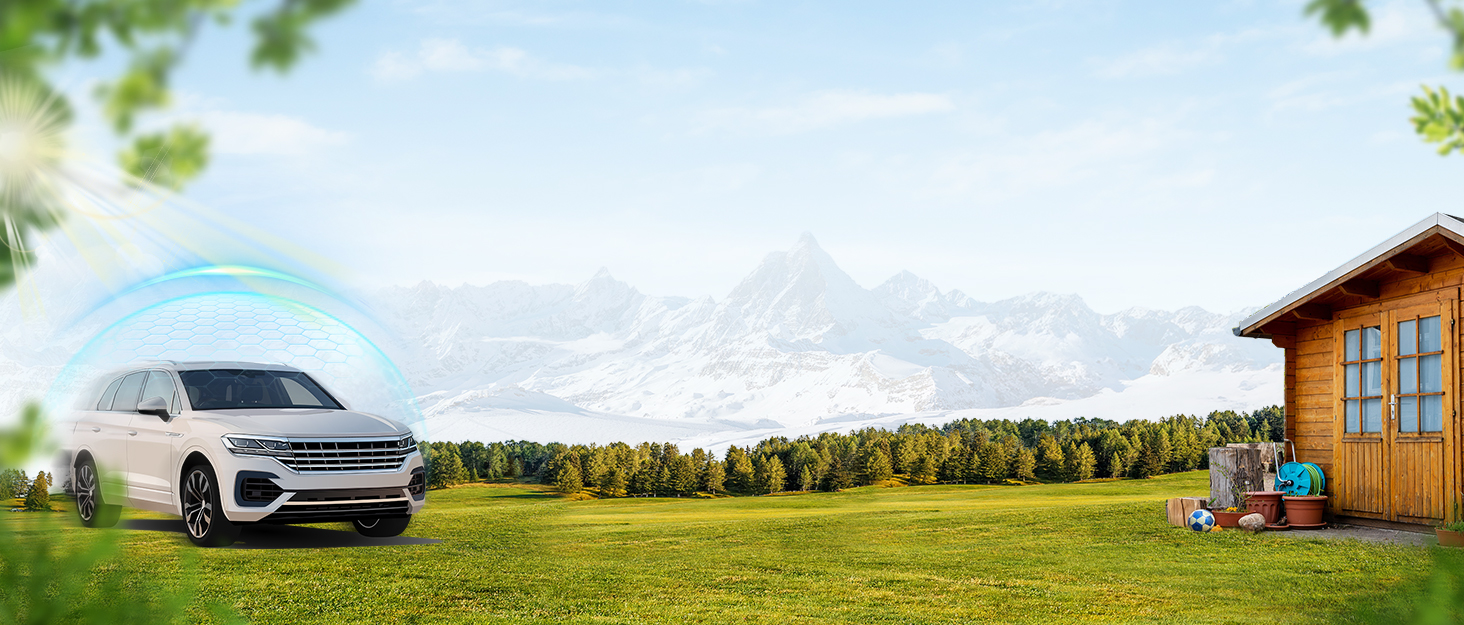 ADVANCE OUTDOOR 12x20 ft Canopy Garage Heavy Duty Carport