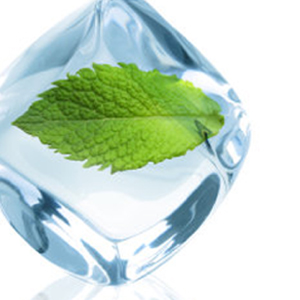 A healthy natural leaf is frozen in an ice cube.