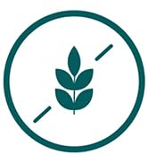 Only Skin Men's Night Cream (1.7 oz) Creatine to Stimulate Cell Turnover and Fight Aging, Lactic ...