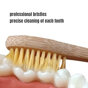 toothbrush