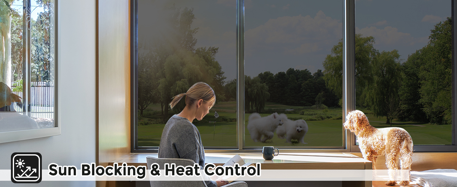 Coavas One Way Window Privacy Film with 3 Tools Reflective