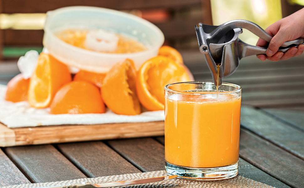 manual juicer