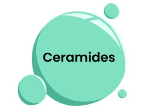 Ceramides