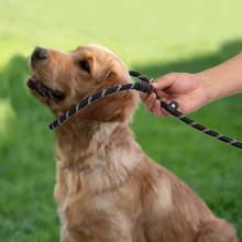 Amrules Dog Training Leash Black 220x220-3