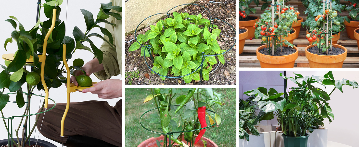 Fit for Various Plants