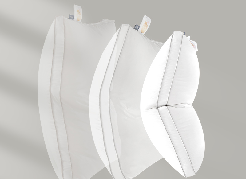 Globon Luxury Feather Down Pillow Standard Queen Size,Soft