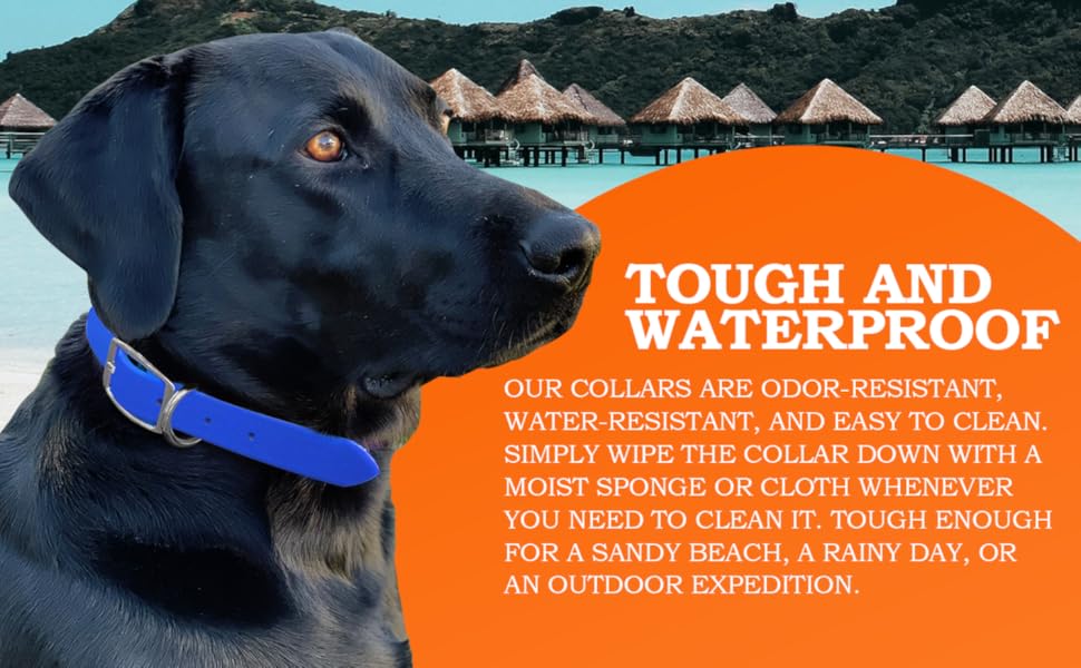 Salt Lab Supply Waterproof Dog Collars Heavy Duty