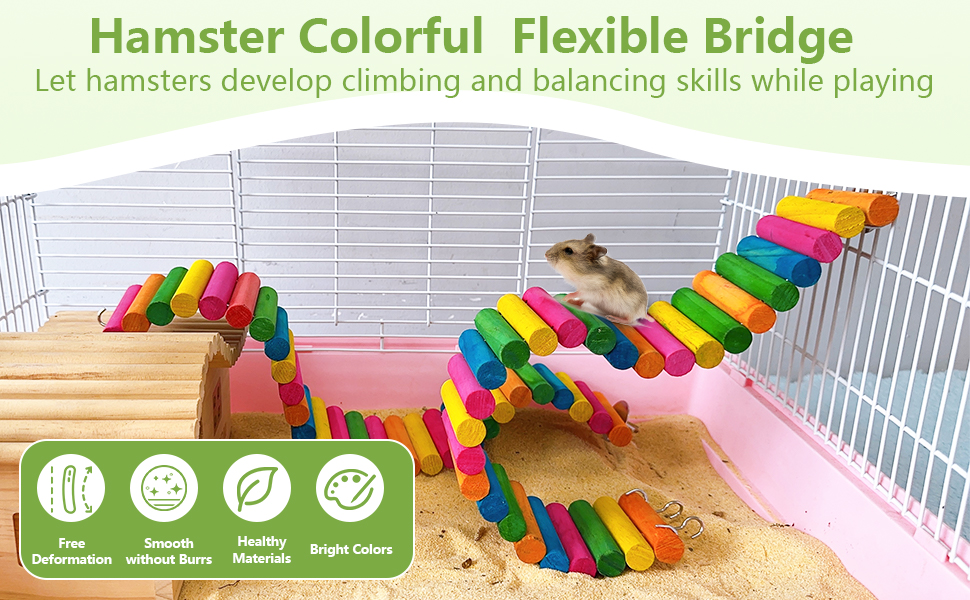 Hamster Colorful Bridge