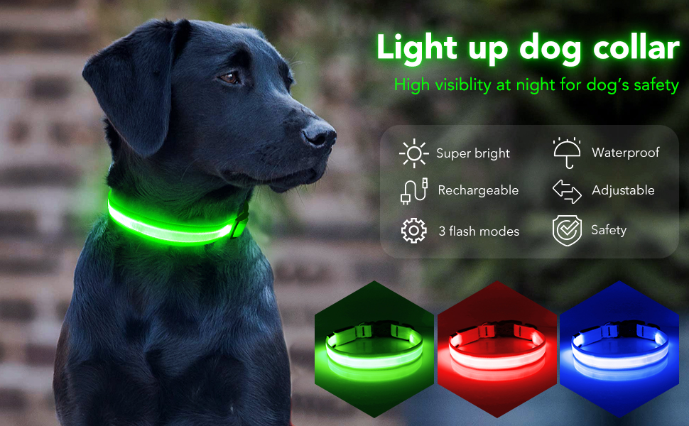 PZRLit Light Up Dog Collar Light Rechargeable, Fully Adjustable LED Dog