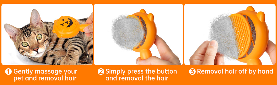 Pet pumkin brush