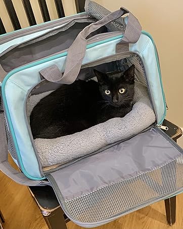 cat mat