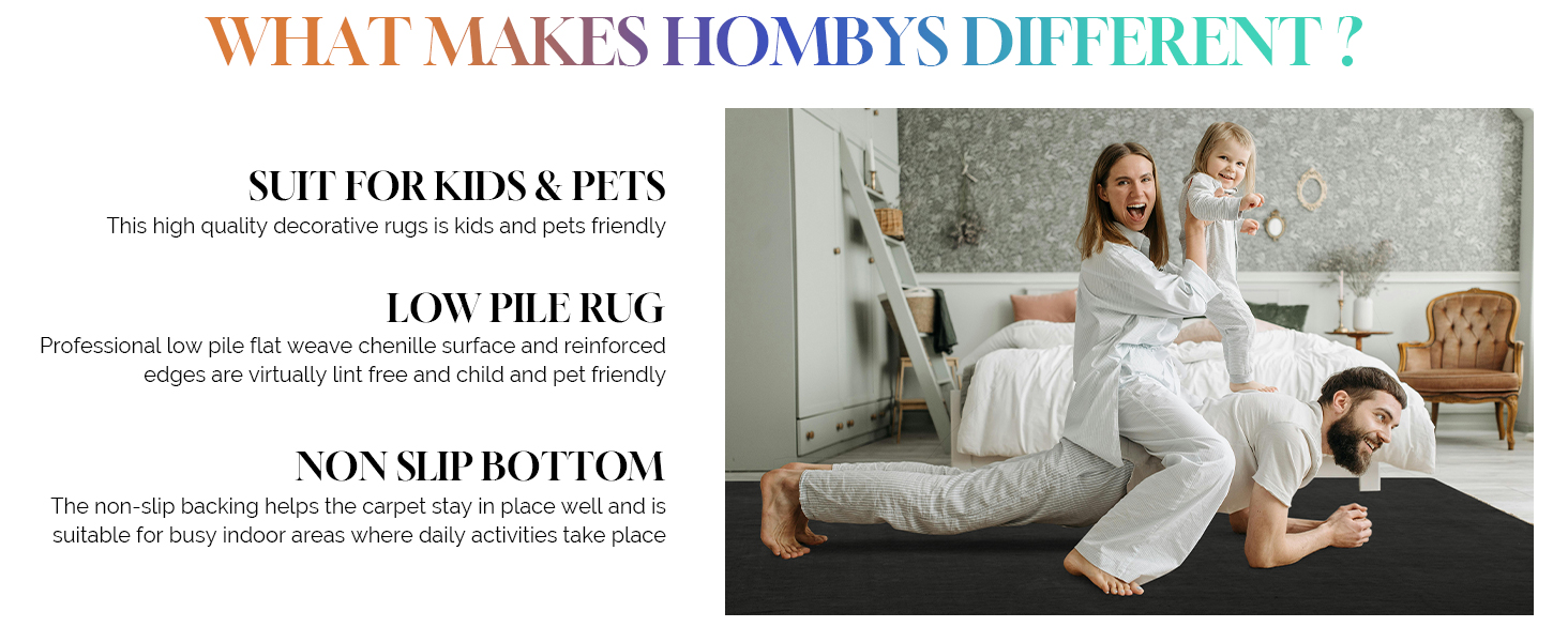 HOMBYS 12x15ft Large Area Rug for Living Room - Fluffy Soft, Non-Shedding Floor Carpet with Non-Slip Backing - Indoor Of 45f607f4 6a31 43bc A156 73f36eaf8fc2. CR0,0,1464,600 PT0 SX1464 V1