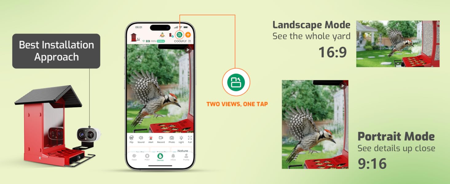 bird feeders for outdoors with camera