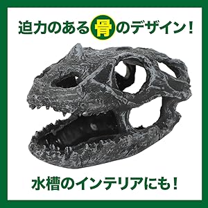 爬虫類シェルター　345 白マット×黒、ブルーとピンク、赤いヒトデ 爬虫類シェルター 345 白マット×黒、ブルーとピンク、赤いヒトデ