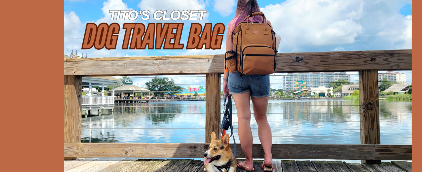 dog travel bag
