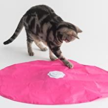 Small manufacture image 4