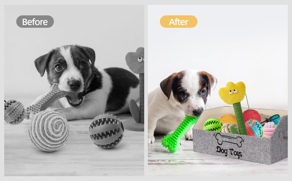 dog toy bin