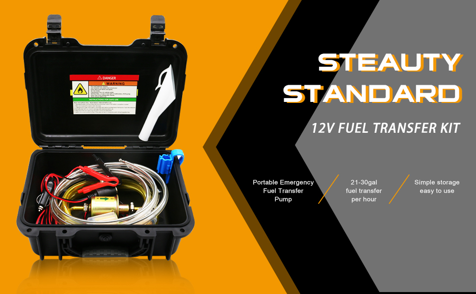 Amazon.com: Steauty Fuel Transfer Pump 12V, Moves Up to 30