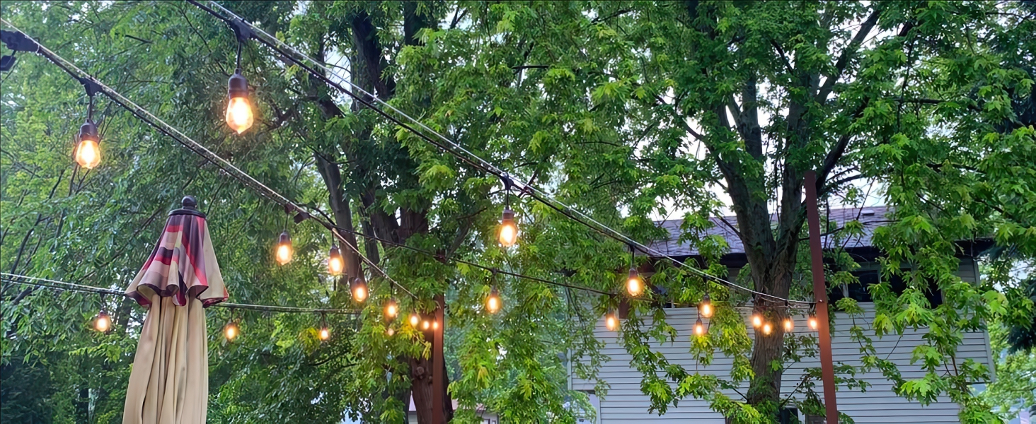240V electric garden festoon lights