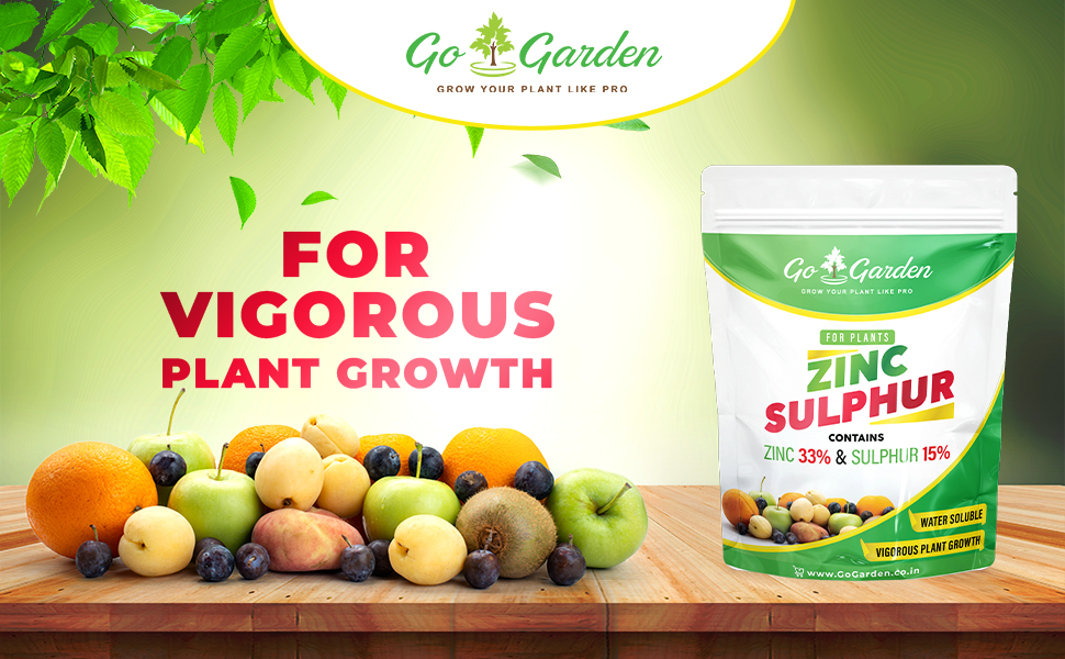 Large manufacture image 1