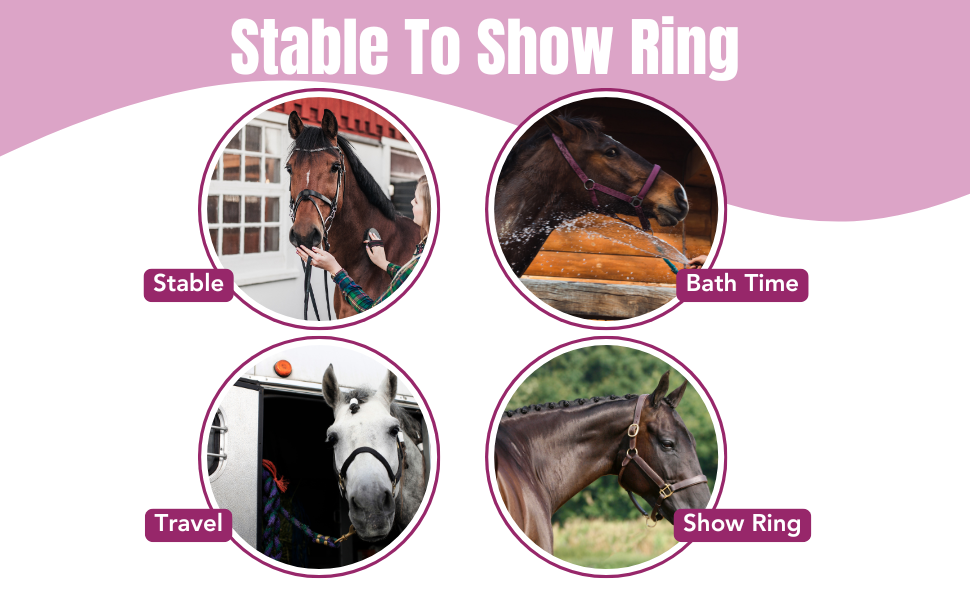 Versatile horse grooming bag for daily grooming, bath time, travel and shows