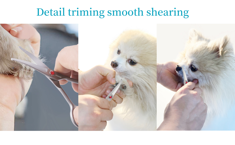 dog scissors for grooming small dogs