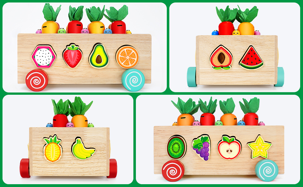 BAYSING Montessori Toys Carrots Harvest Game