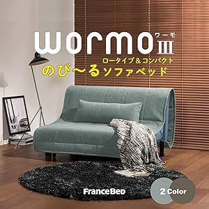 Amazon|フランスベッド ソファベッド シングル ブルー 「MOVEin Amazon|フランスベッド ソファベッド シングル ブルー 「MOVEin