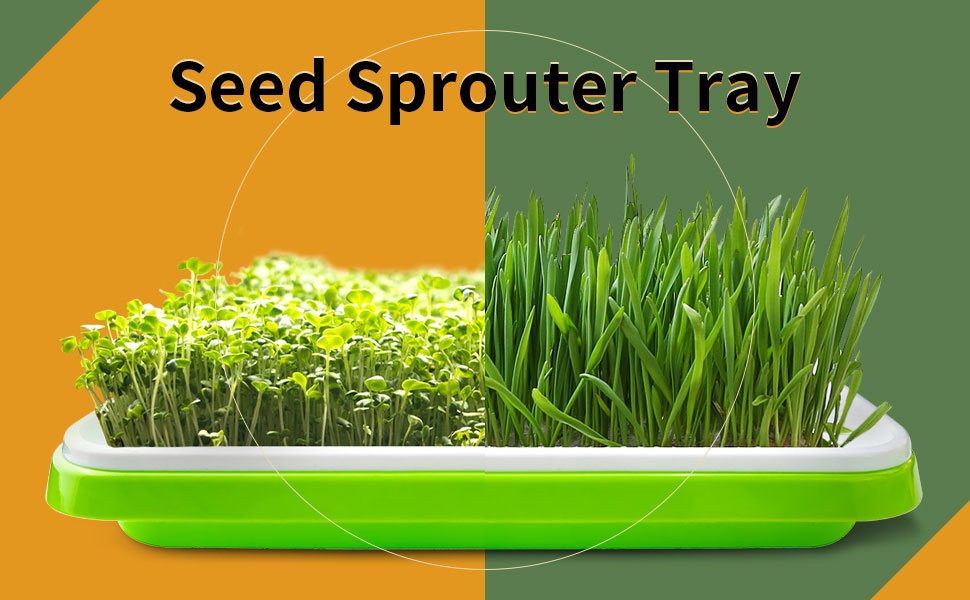   sprouting trays for sprouts