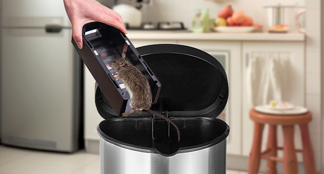 ELECTRIC RAT TRAP-05