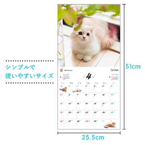 Amazon.co.jp: オレンジページ うちのニャンコ。壁掛カレンダー