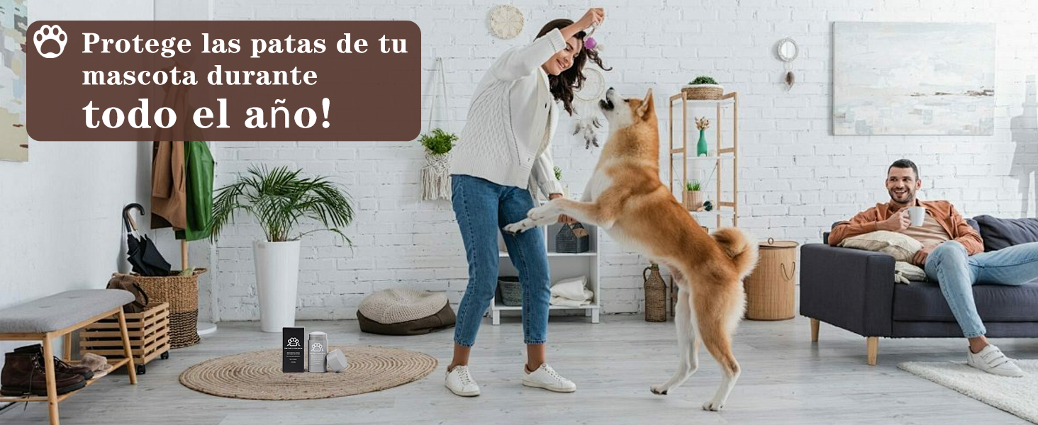 Cream Pads Dogs (68g), Natural and Safe. Protector Pads Dog, Nose and Elbows. Dogs Essential Accessories for Daily Care | Small Animal Health Articles 10 El texto dice «Protege les pasos de tu mascota durante todo el año!» Escena interior que muestra a un perro paseando por una habitación con alfombras o tapetes dispersos sobre un piso de madera.