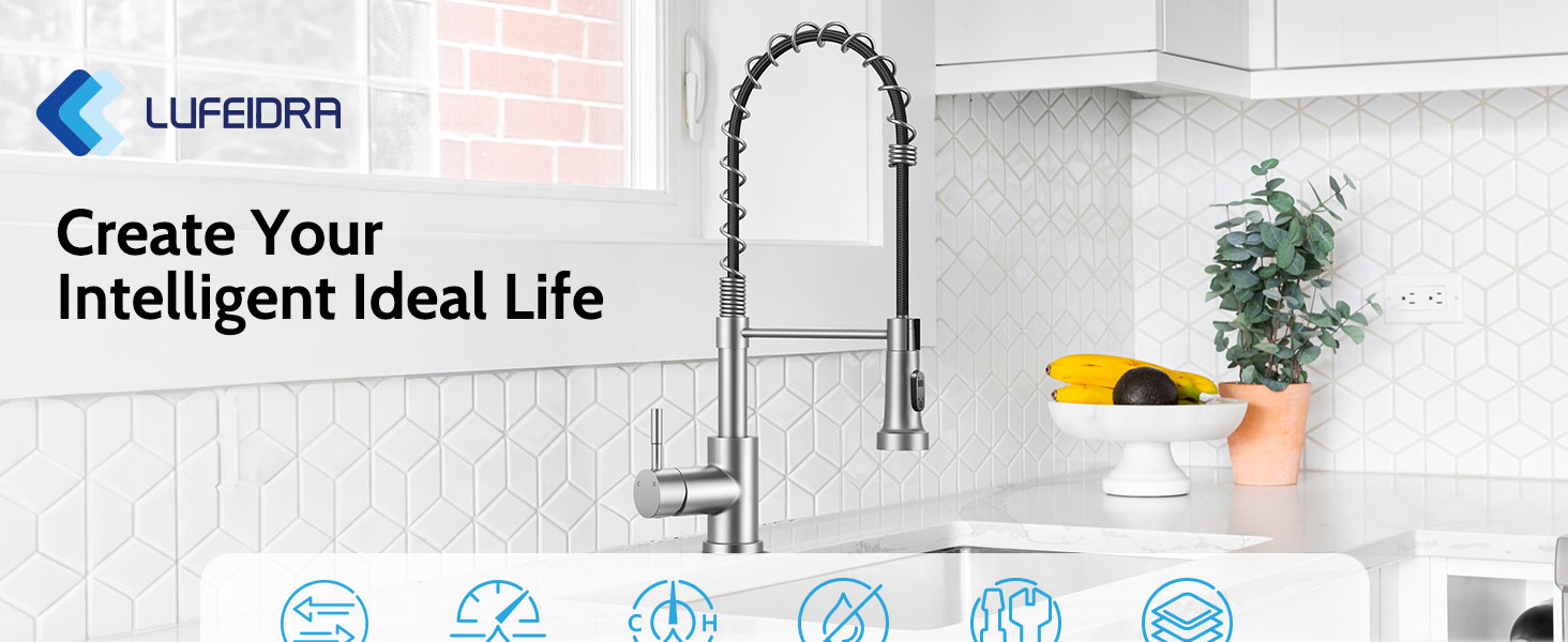 kitchen faucet with pull down saprayer