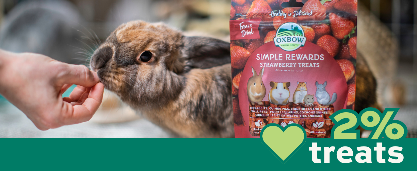 Oxbow Essentials Adult Rabbit Food, Food for Pet Rabbits, Uniform food, Bunny Food, Classroom Pet