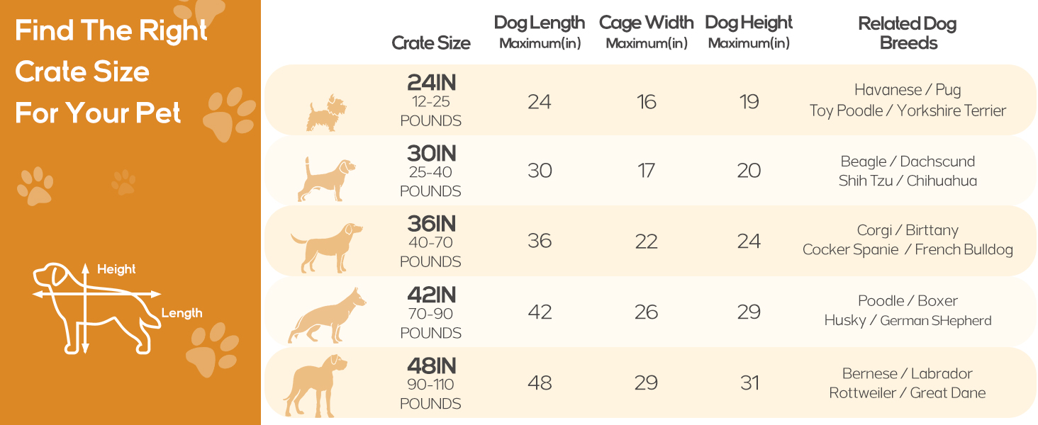 Dog Crate, 30 Inch Medium Wire Kennel with Divider Panel