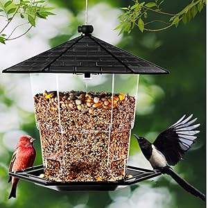 Amazon.co.jp: HooAMI 自動給餌器 バードフィーダー 小鳥 餌場