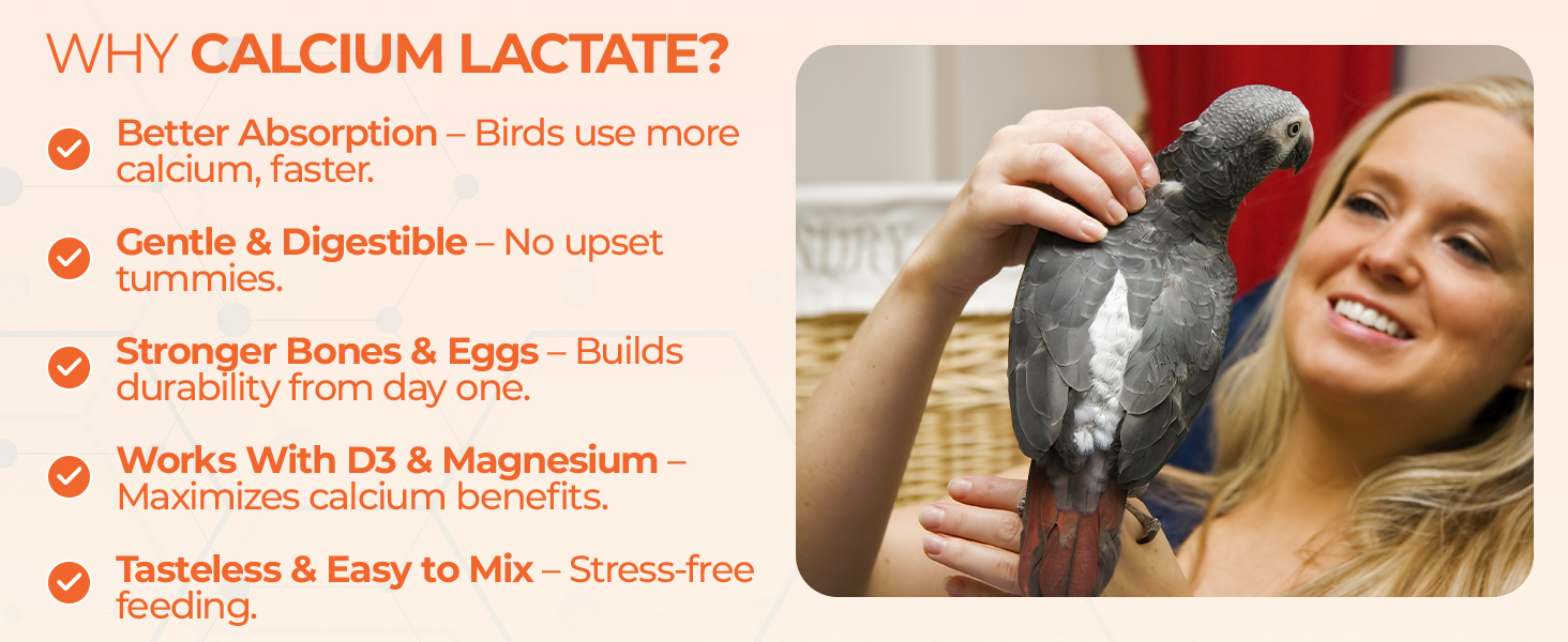 Large manufacture image 6