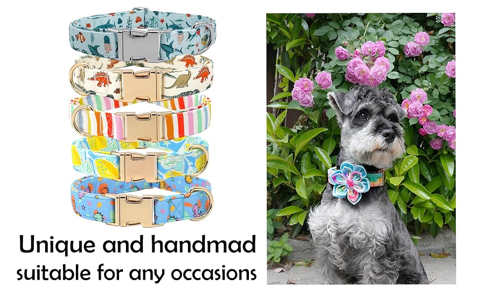 dog collar bowtie