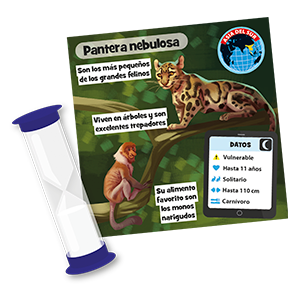 Brainbox, juego de mesa, juego educativo, Asmodee, juegos para niños, juego familiar