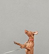 INMINPIN Women and Men Orthopedic Clogs Arch Support Garden Shoes Sandals Slippers with Plantar F...