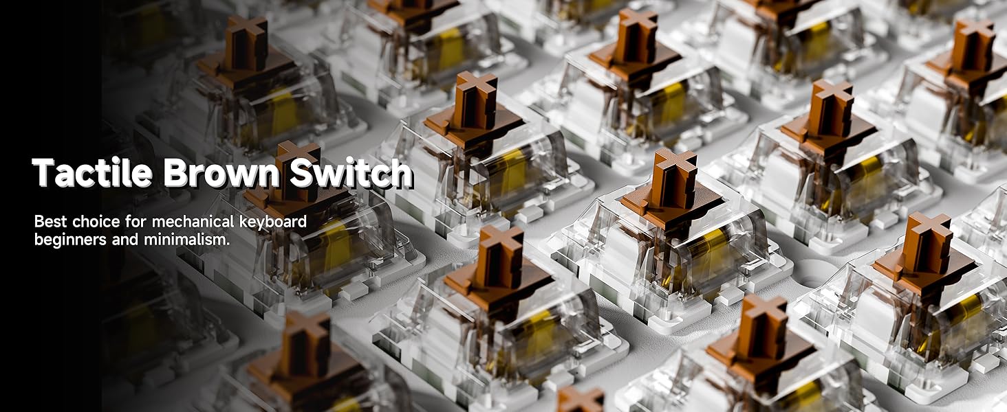 brown switch