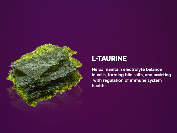 livingood daily energy support endurance immune booster adrenal men women focus