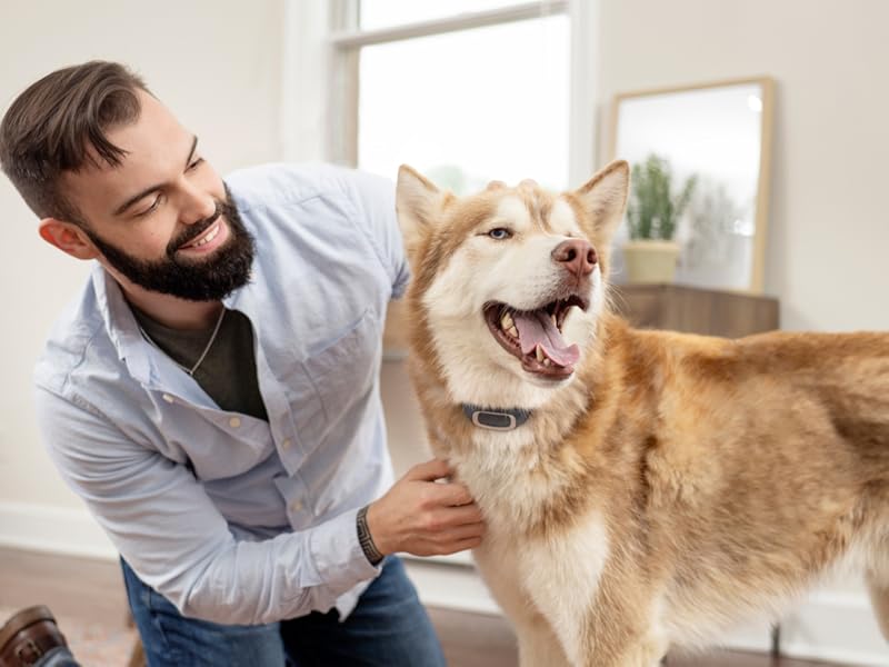 Large manufacture image 3