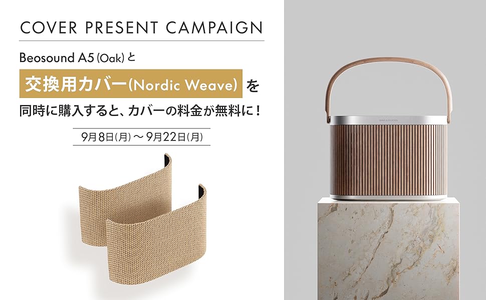 B&O バングアンドオルフセン　7.1chサラウンドボックス Surround Soundシステム | Bang & Olufsen